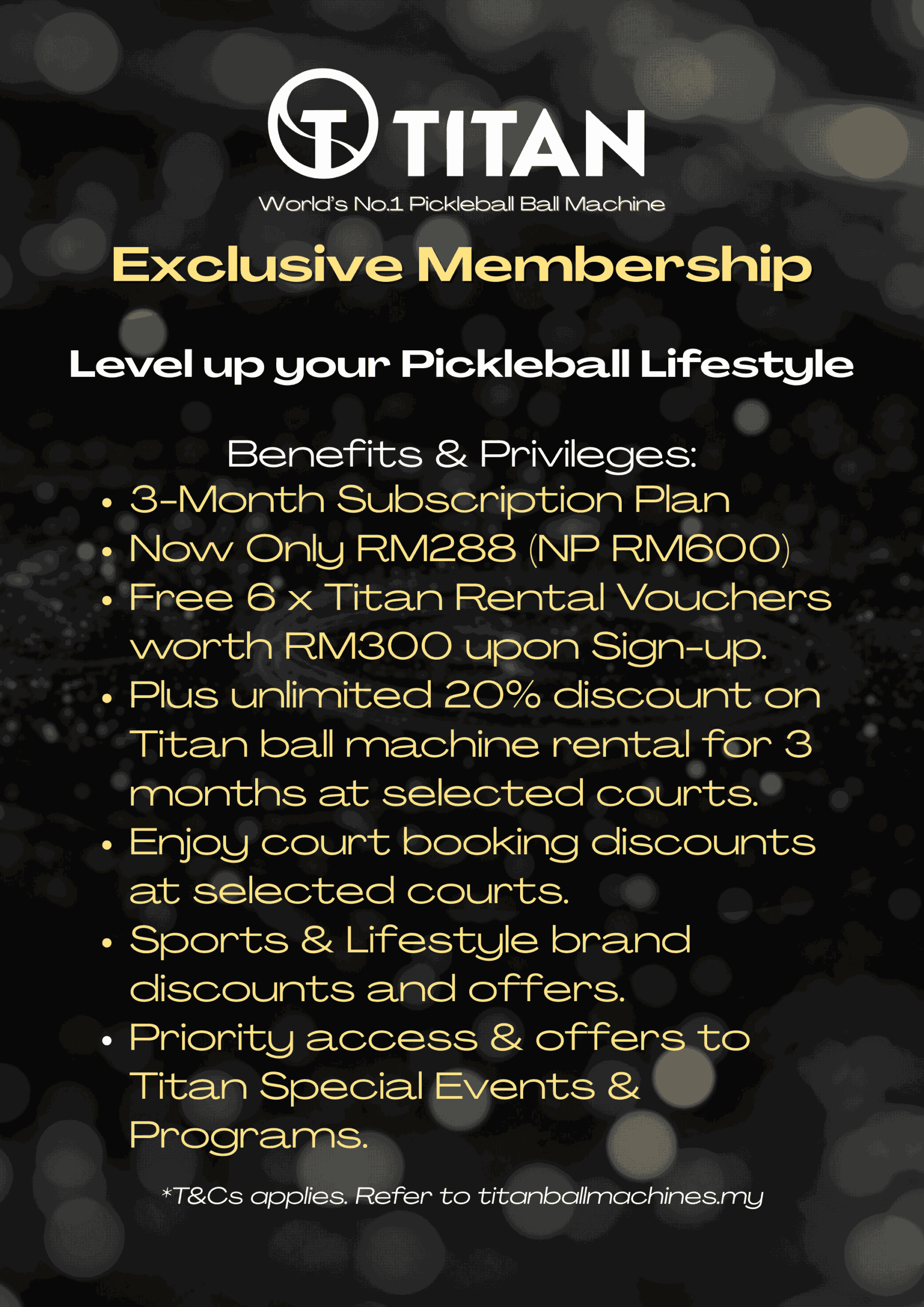 3-month Subscription Plan